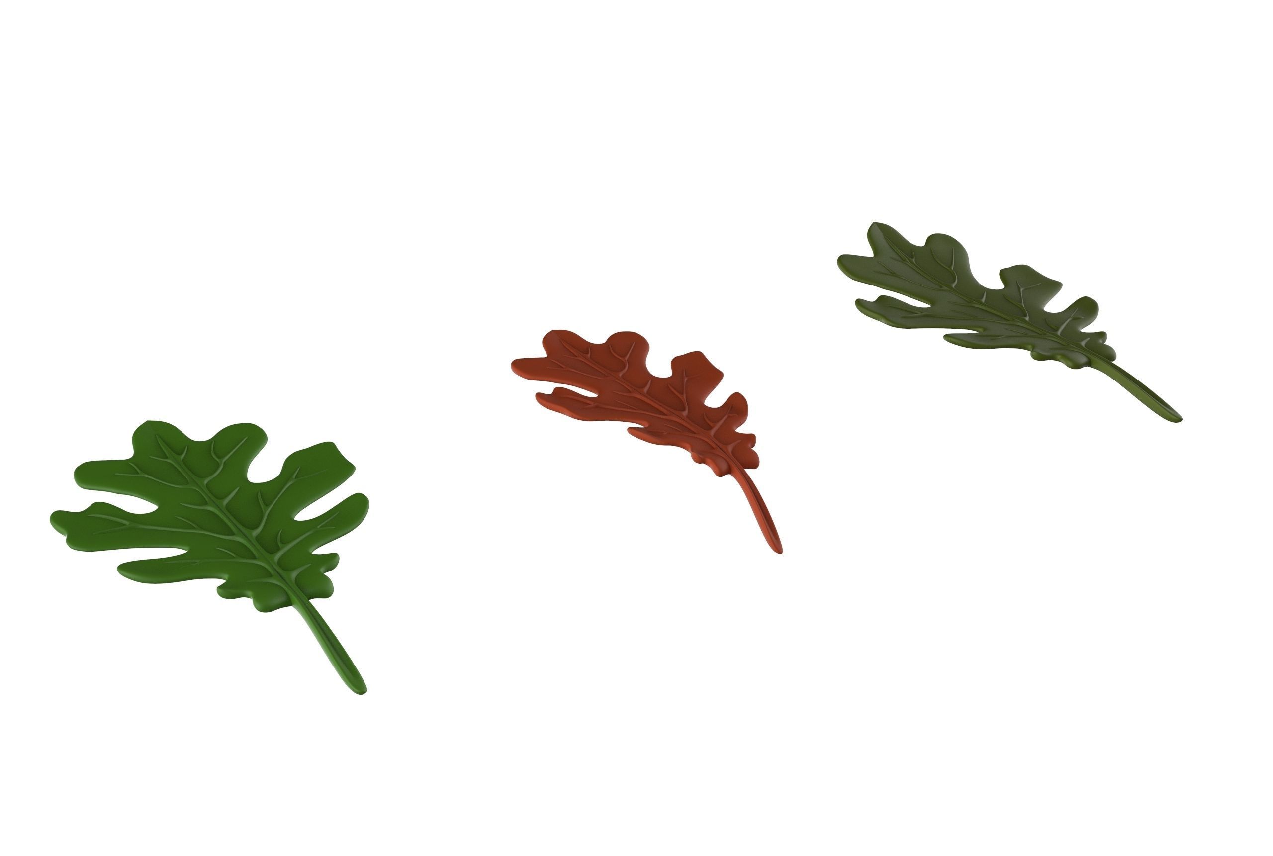 oak leaf 3D model_4