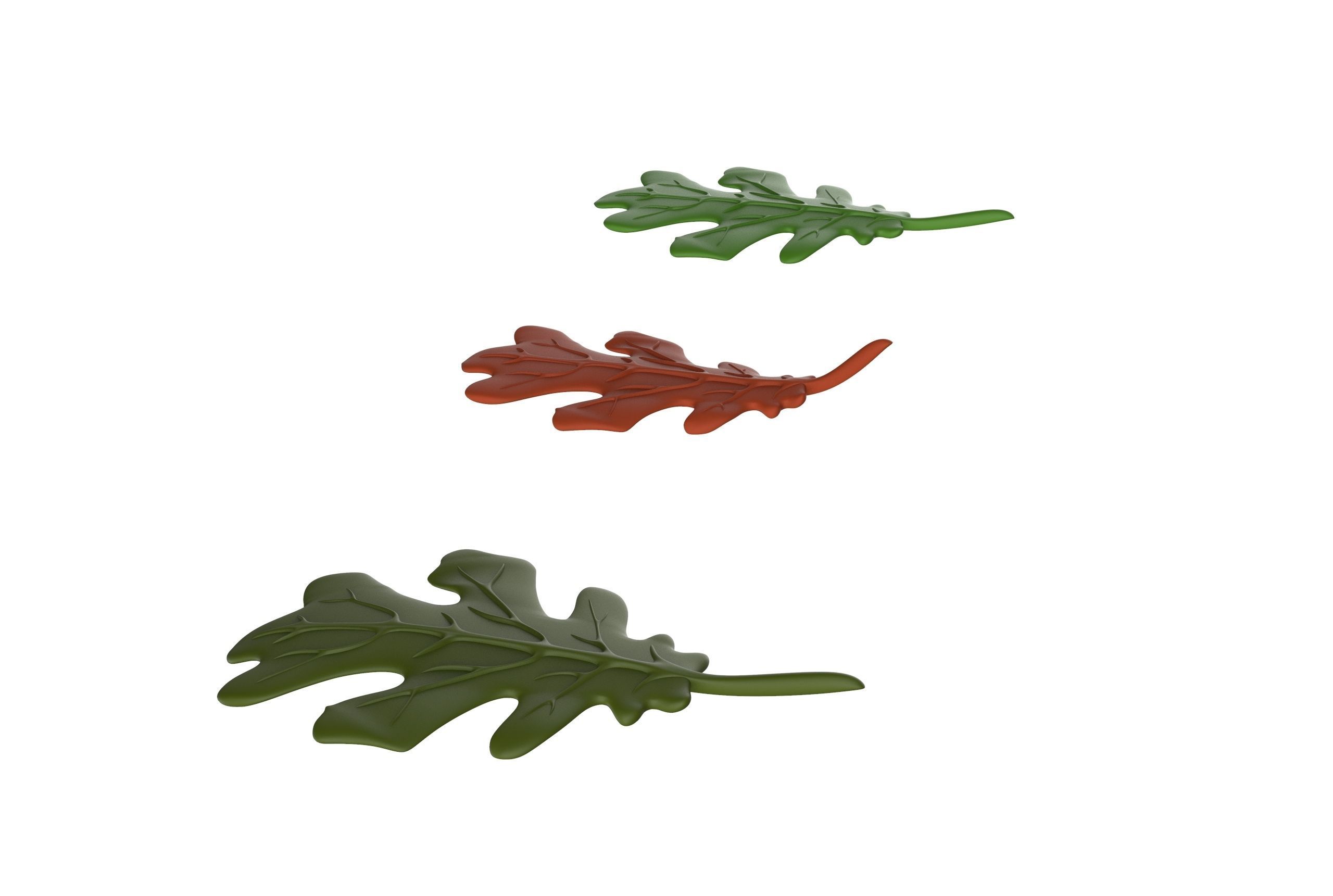 oak leaf 3D model_11