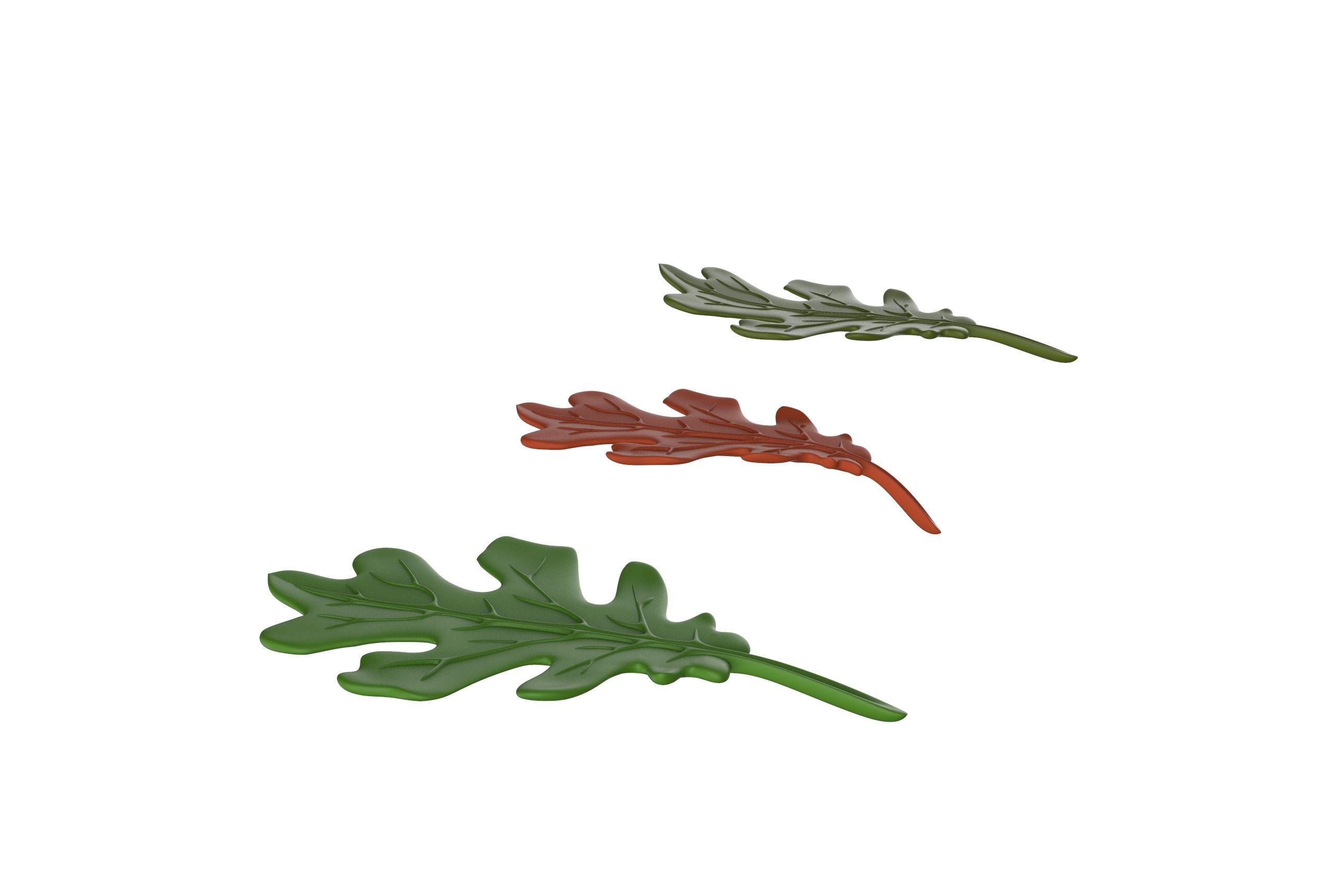 oak leaf 3D model_5