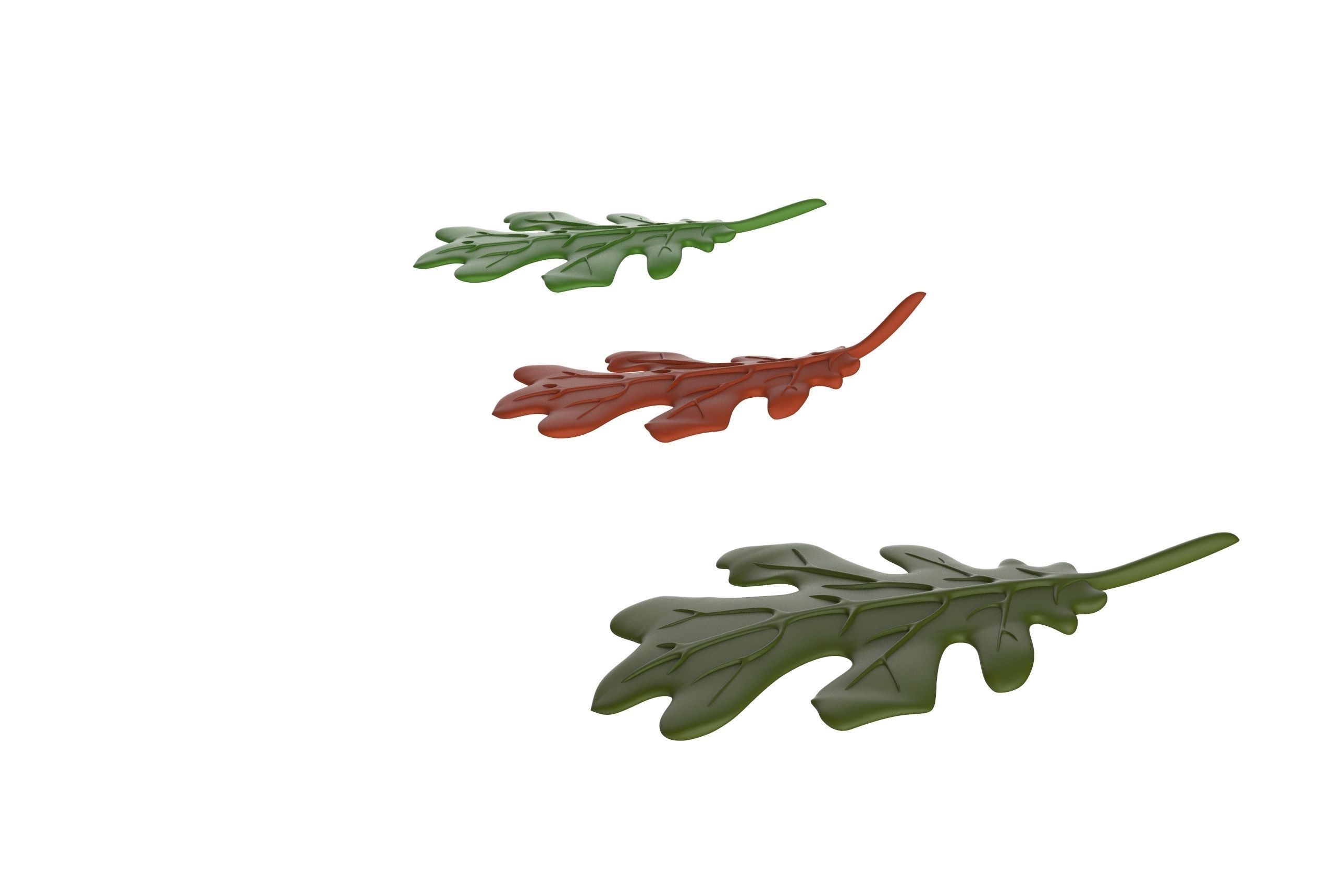 oak leaf 3D model_12