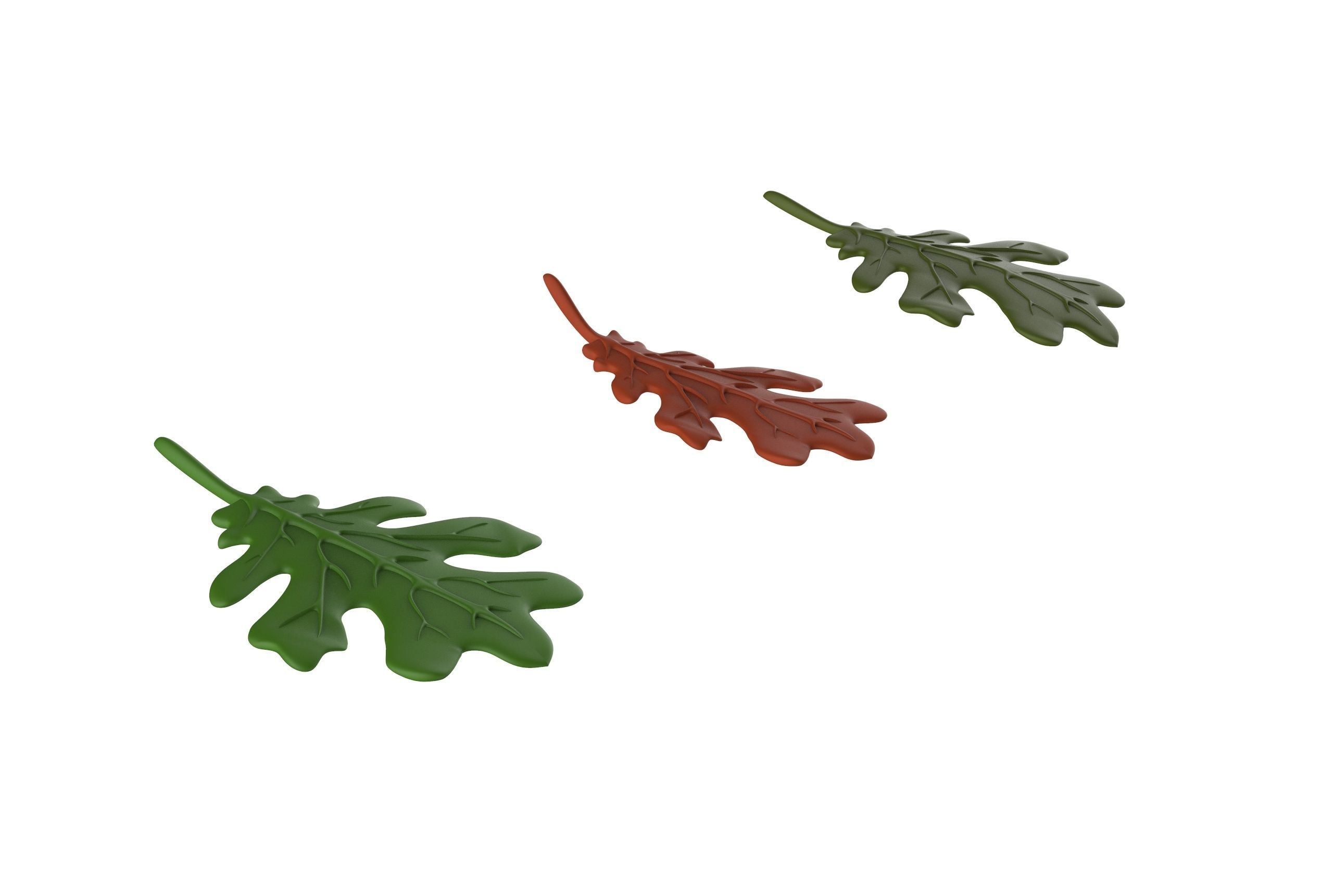 oak leaf 3D model_14