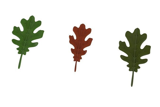 oak leaf 3D model