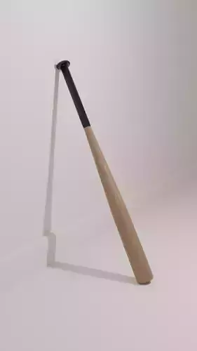  baseball bat
