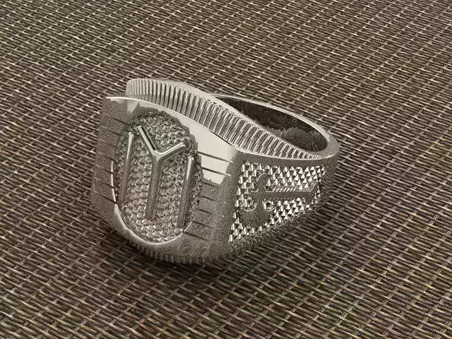 IYI Seal Ring 3D print model