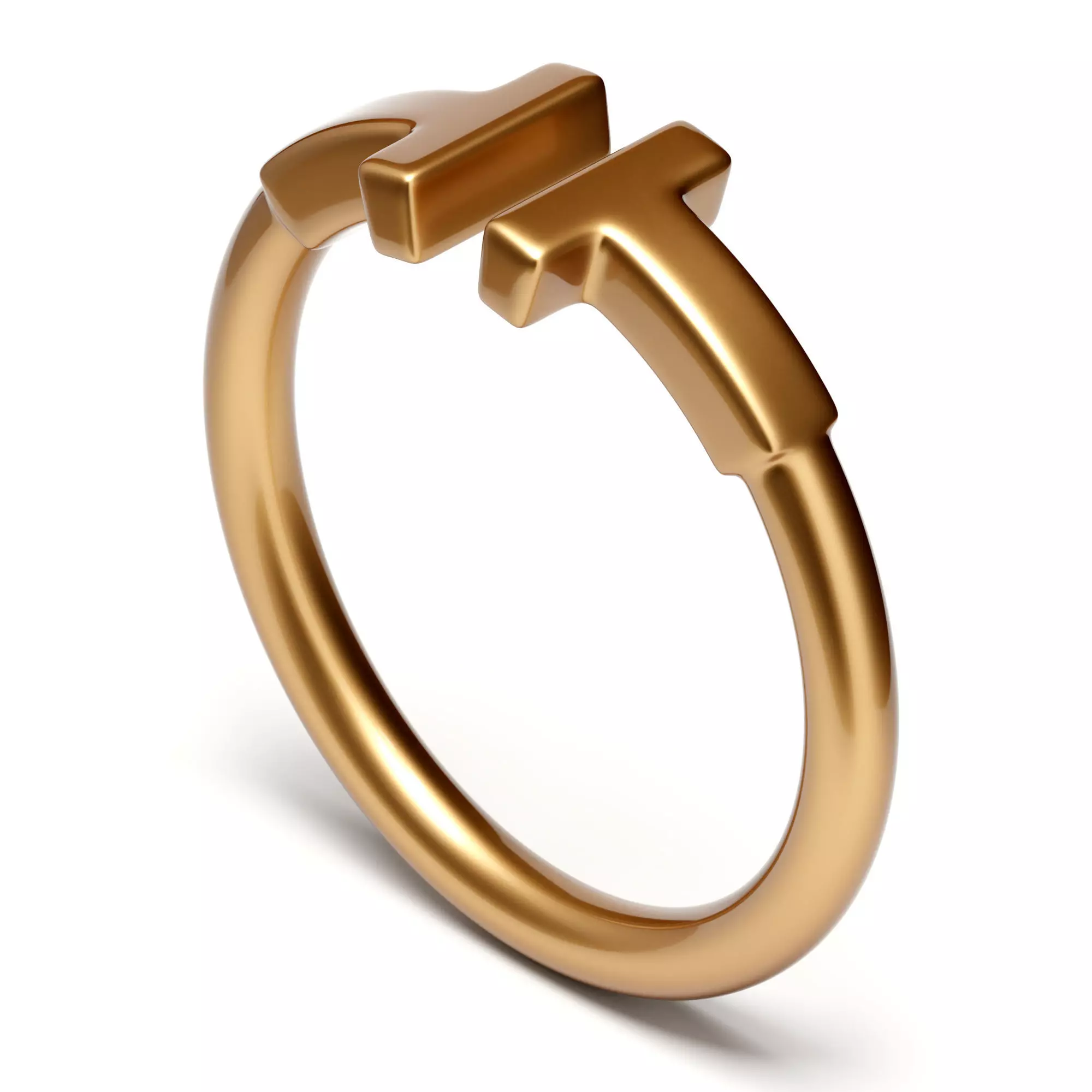 Wire Ring 3D model_0