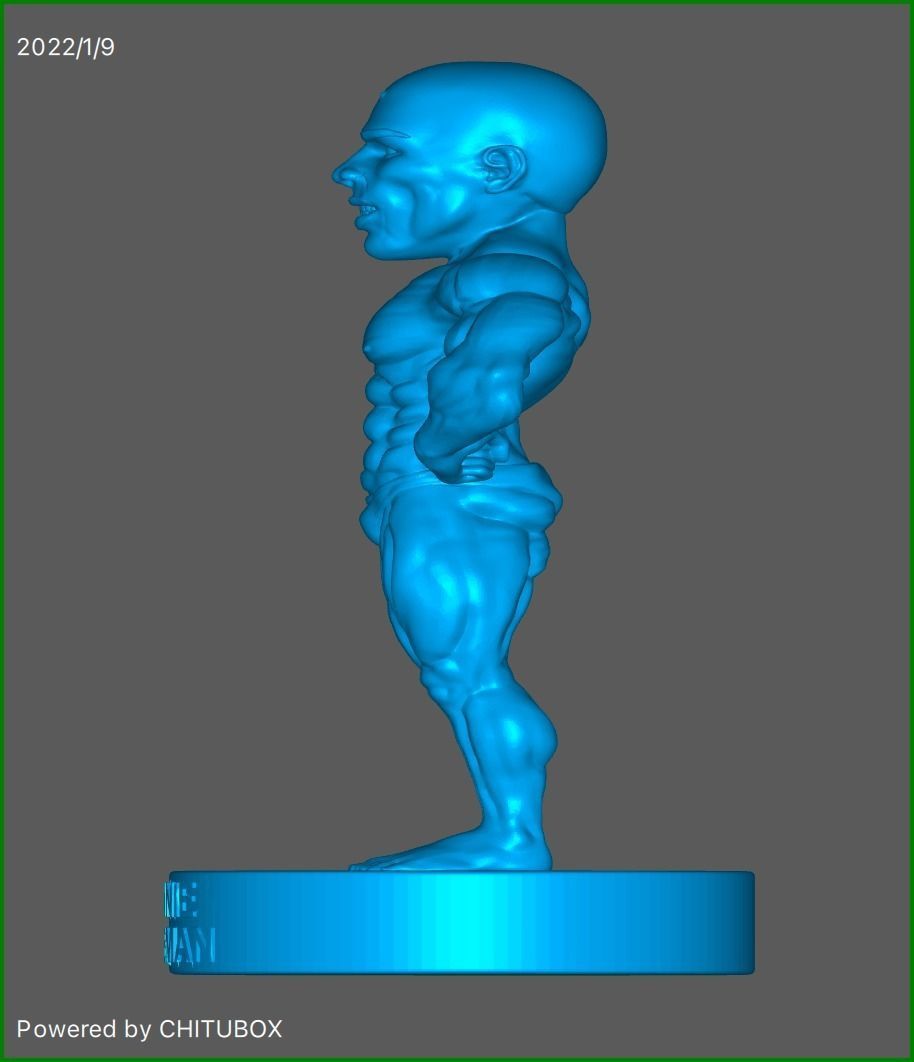 RONNIE COLEMAN MINIATURE  3D print model_4