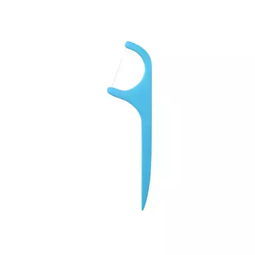 Dental Floss Pick V1 001