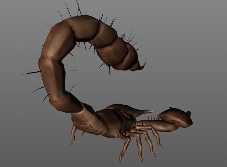 giant scorpion with 9 animations Low-poly 3D model_11