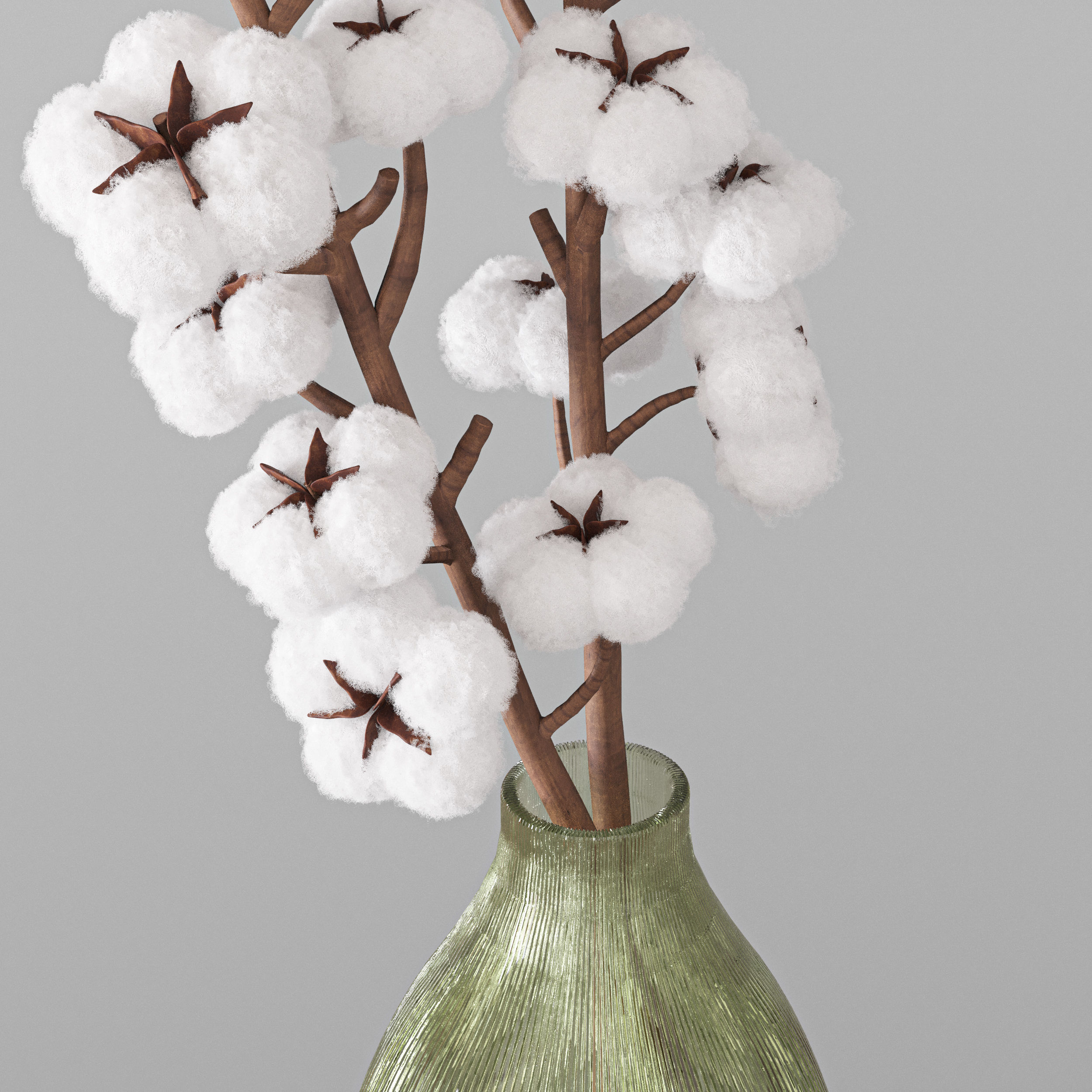 bouquet04-cotton cotton flowers in vase 3D model_2