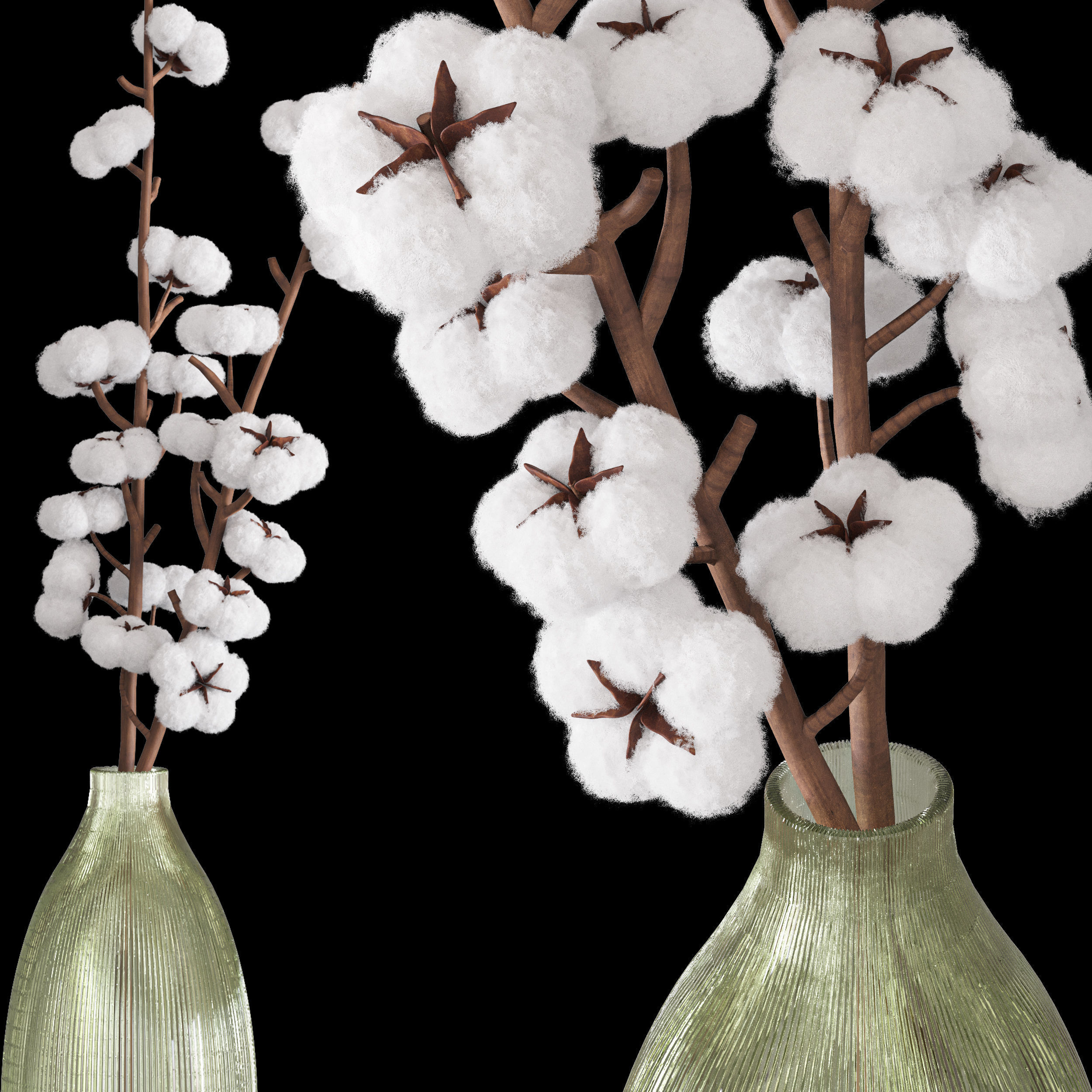 bouquet04-cotton cotton flowers in vase 3D model_5