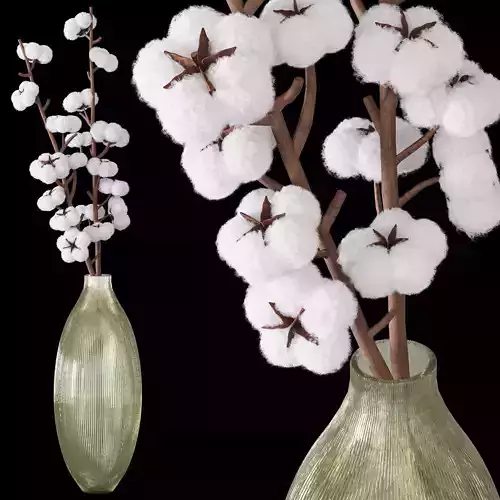 bouquet04-cotton cotton flowers in vase 3D model