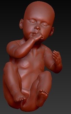 FETUS NEW BORN BABY 3D print model_3