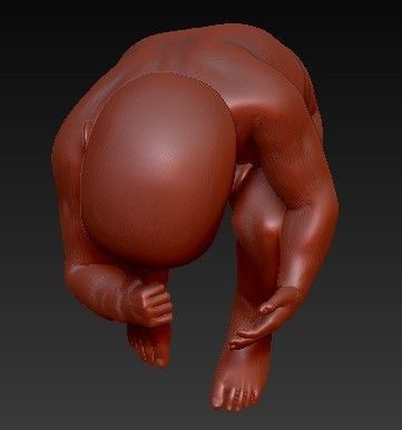FETUS NEW BORN BABY 3D print model_7