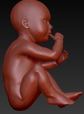 FETUS NEW BORN BABY 3D print model_5