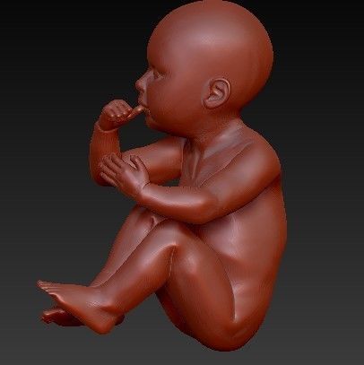 FETUS NEW BORN BABY 3D print model_6