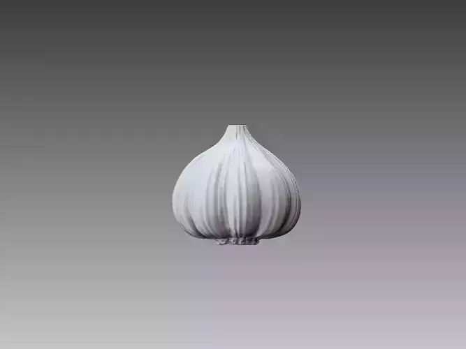 garlic 3D model bulb 3D print model