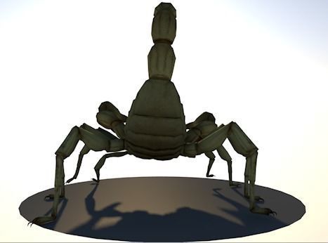 sasori scorpion with 5 animations Low-poly 3D model_10