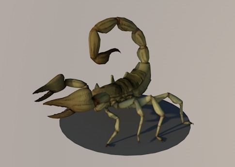 sasori scorpion with 5 animations Low-poly 3D model_8
