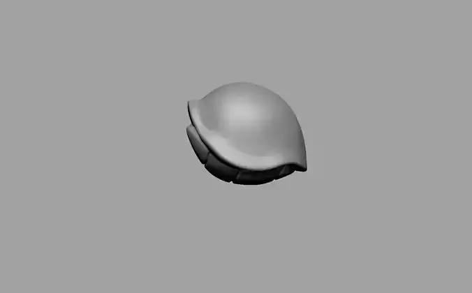 3D model  turtle shell 3D print model