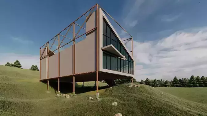 C-House house on hill