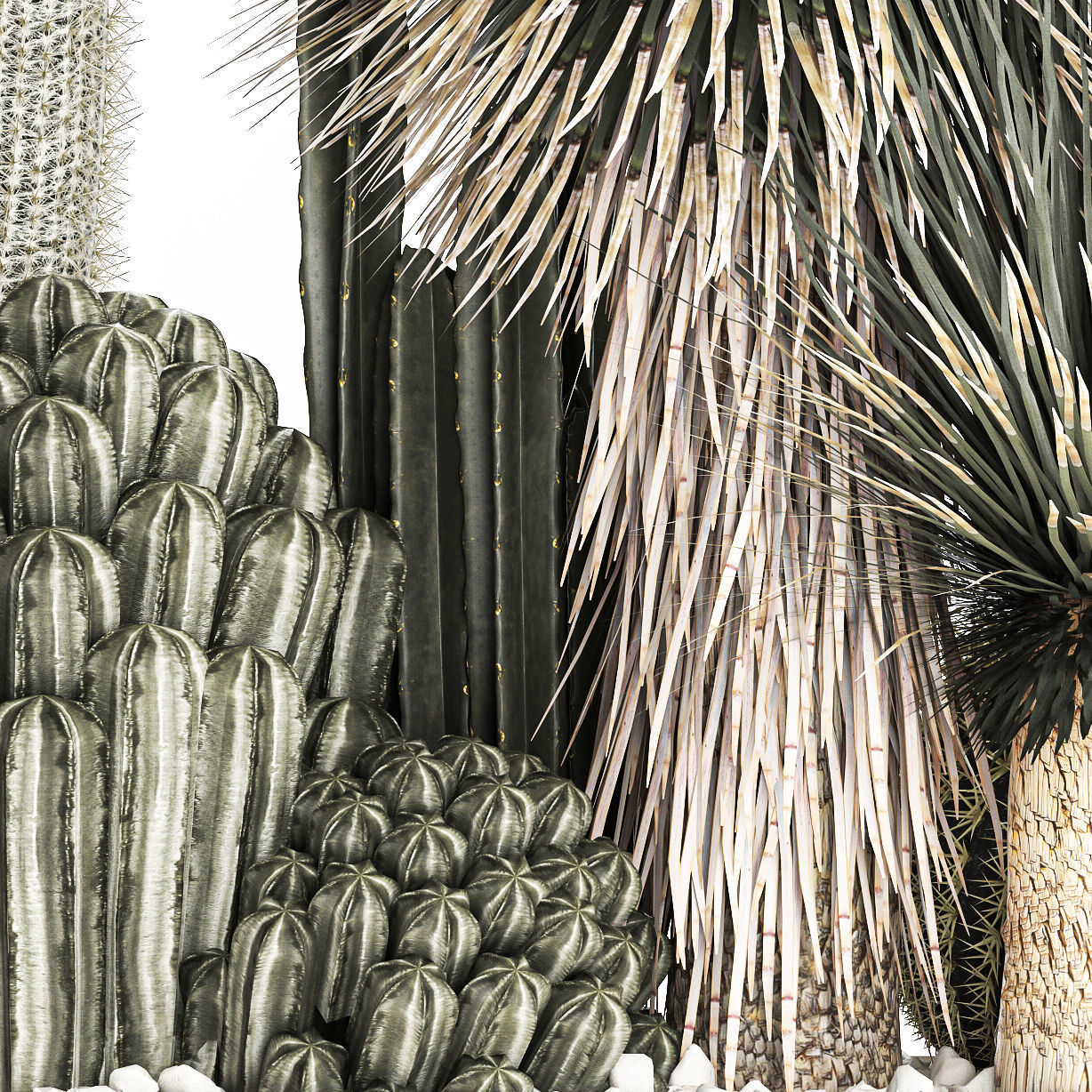 Cactus set in a concrete flowerpot for the interior 1098 3D model_6