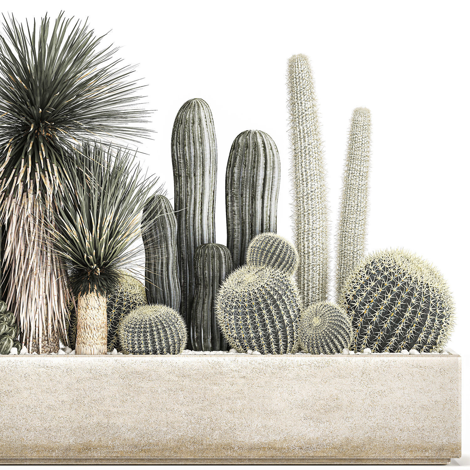 Cactus set in a concrete flowerpot for the interior 1098 3D model_5