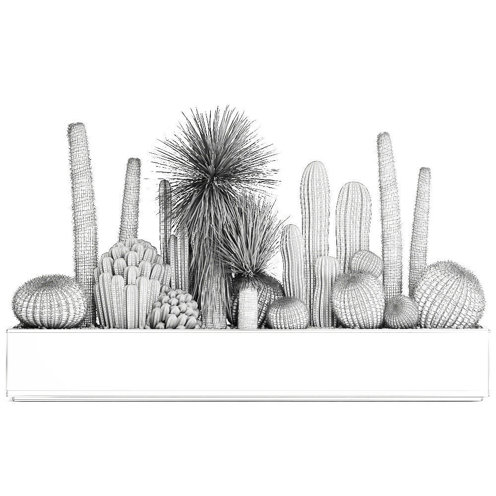 Cactus set in a concrete flowerpot for the interior 1098 3D model_7