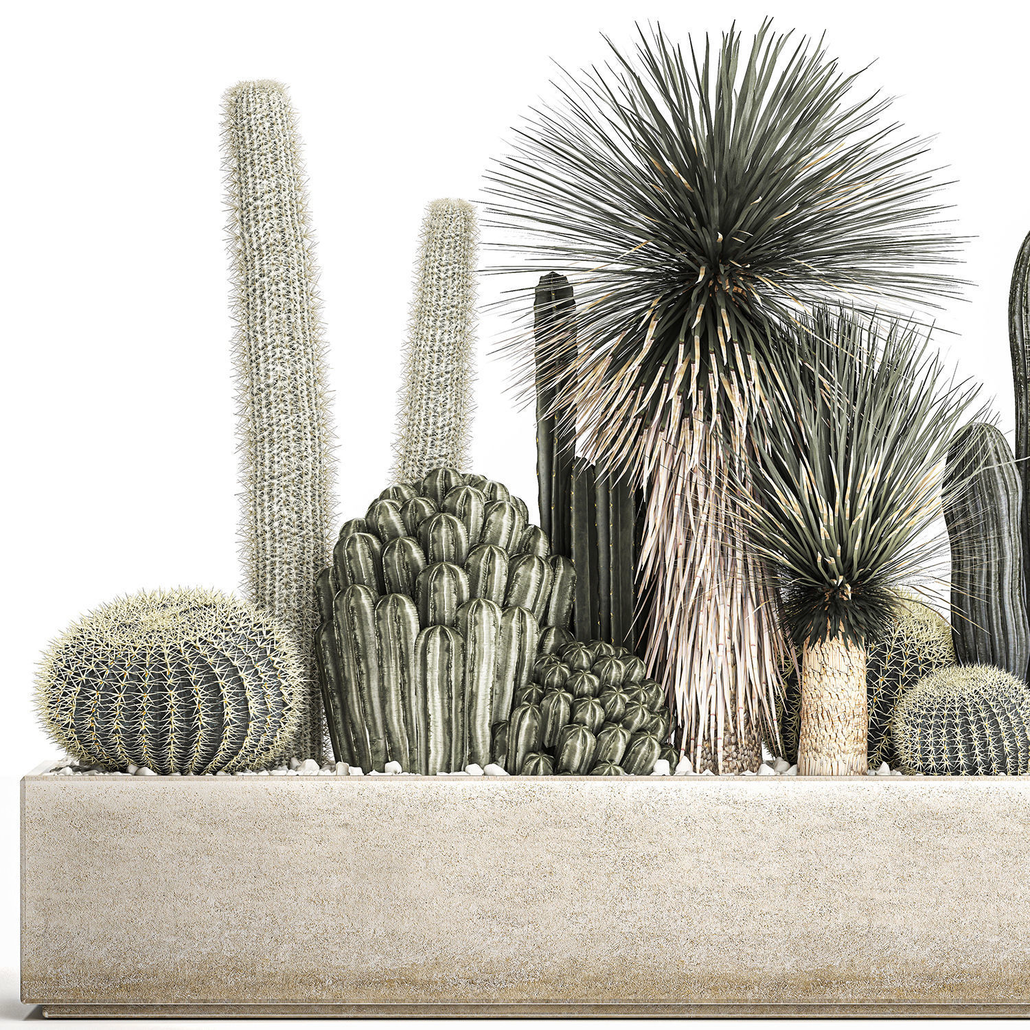 Cactus set in a concrete flowerpot for the interior 1098 3D model_2