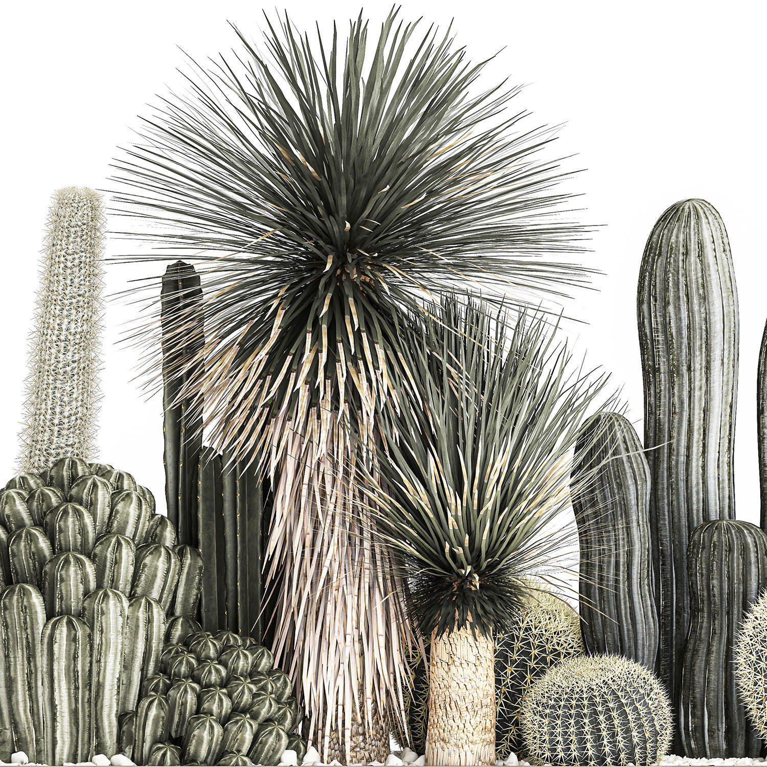 Cactus set in a concrete flowerpot for the interior 1098 3D model_3