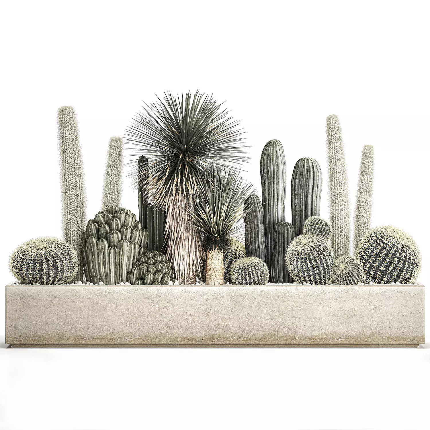 Cactus set in a concrete flowerpot for the interior 1098 3D model_0