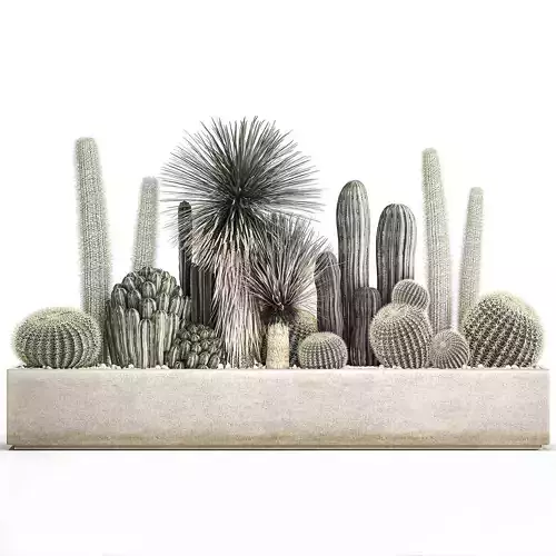Cactus set in a concrete flowerpot for the interior 1098 3D model
