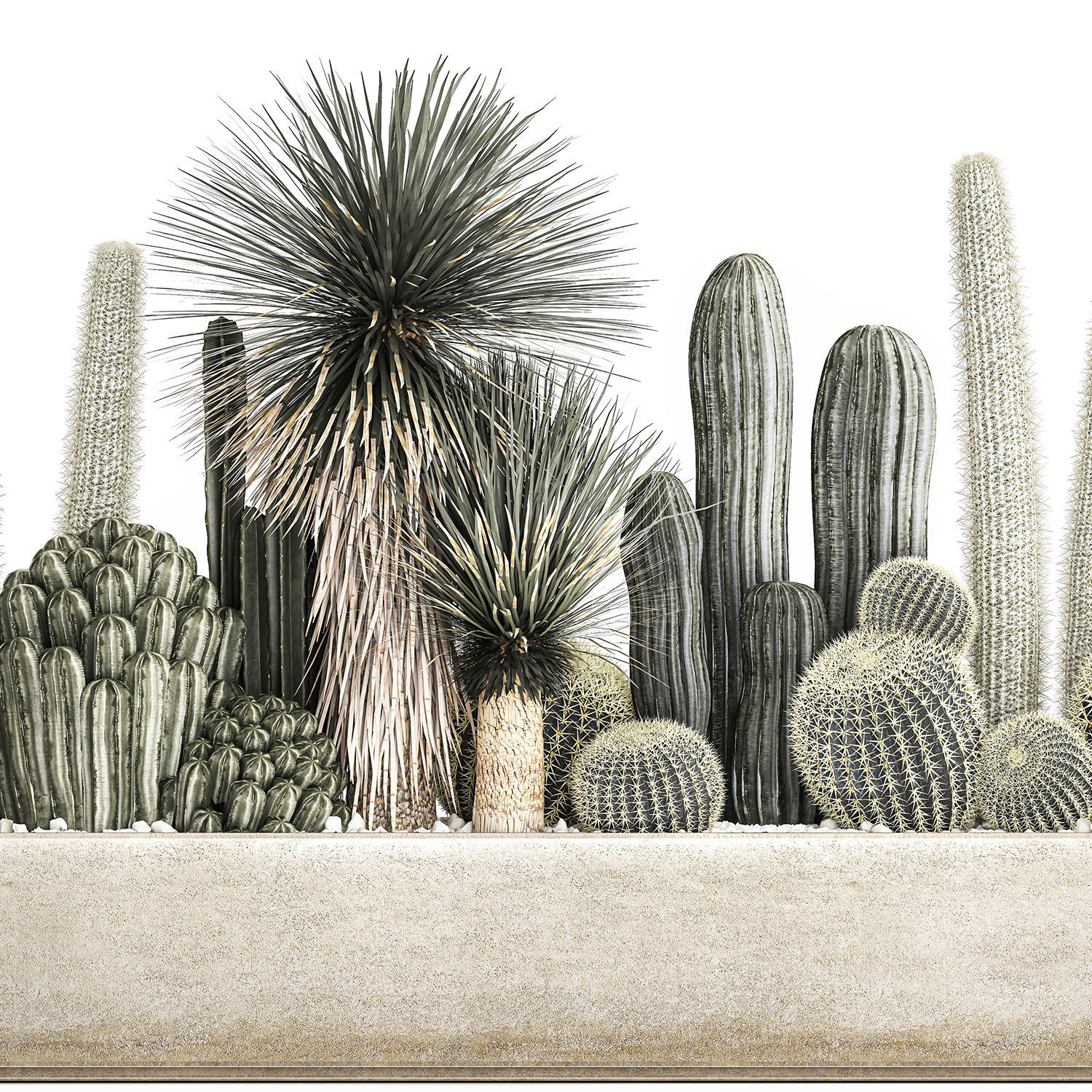 Cactus set in a concrete flowerpot for the interior 1098 3D model_4