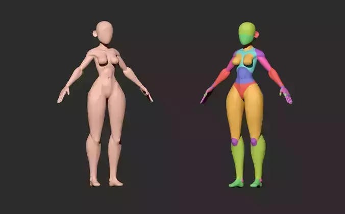 Female Stylized Blockout 2