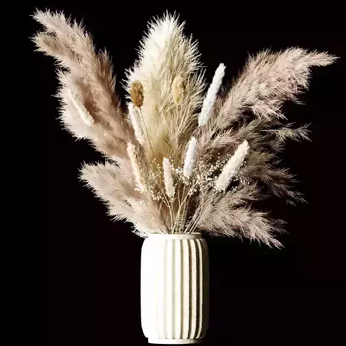 Dry Plants Bouquet Pampas Indoor concrete vase