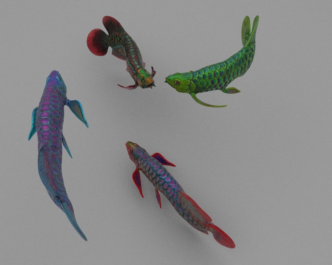 Dragon  Fish 3D model_9