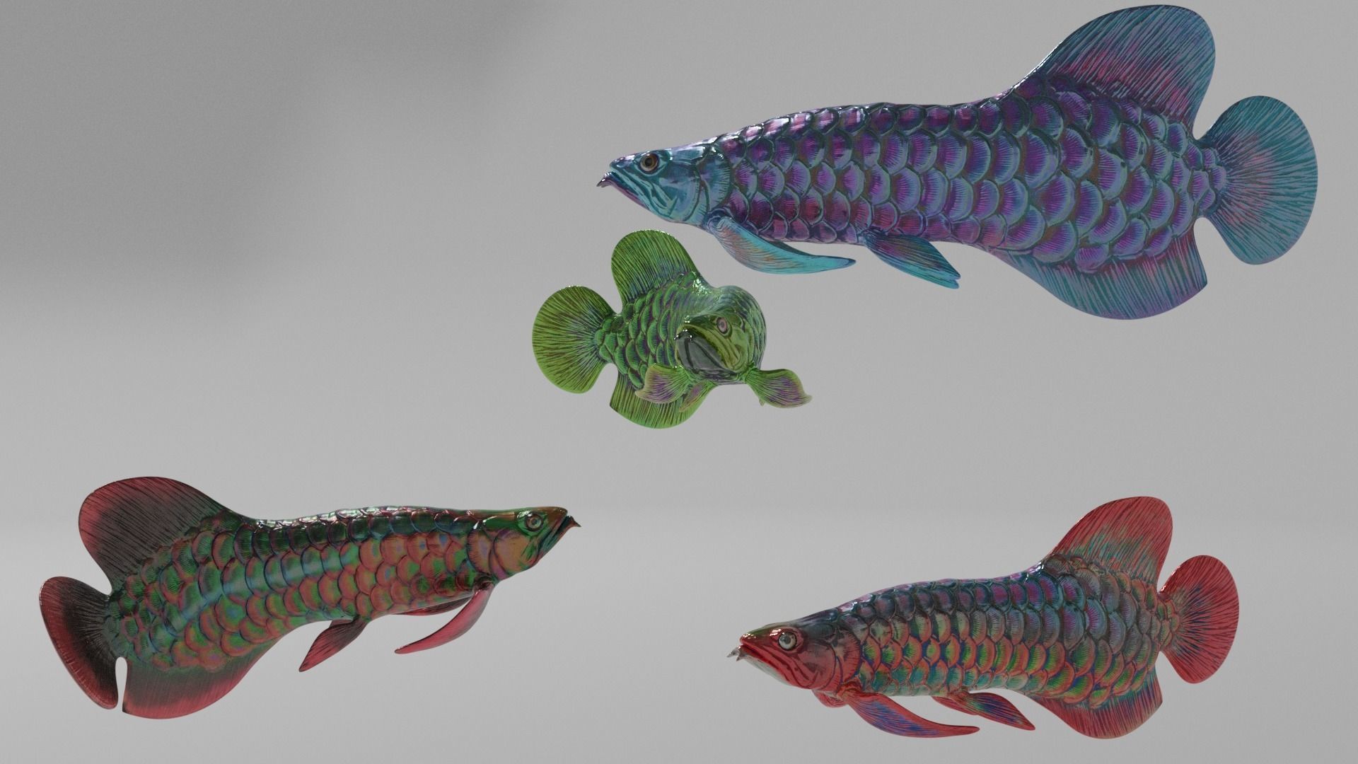 Dragon  Fish 3D model_31
