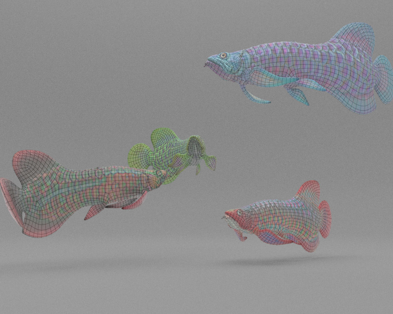 Dragon  Fish 3D model_27