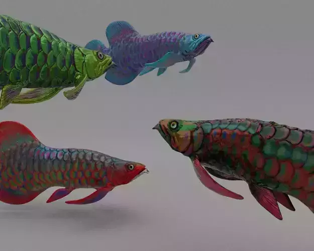 Dragon  Fish 3D model