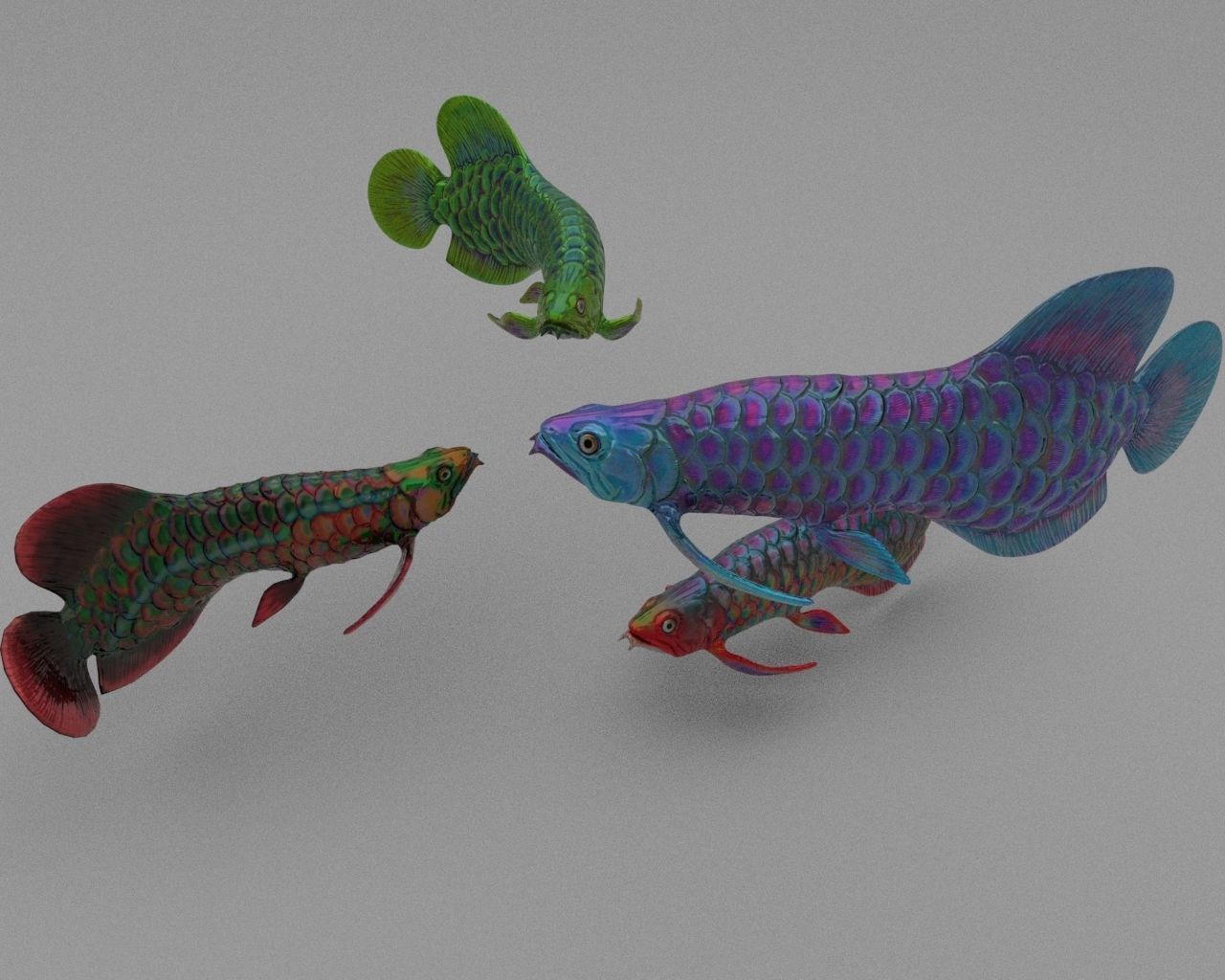 Dragon  Fish 3D model_6
