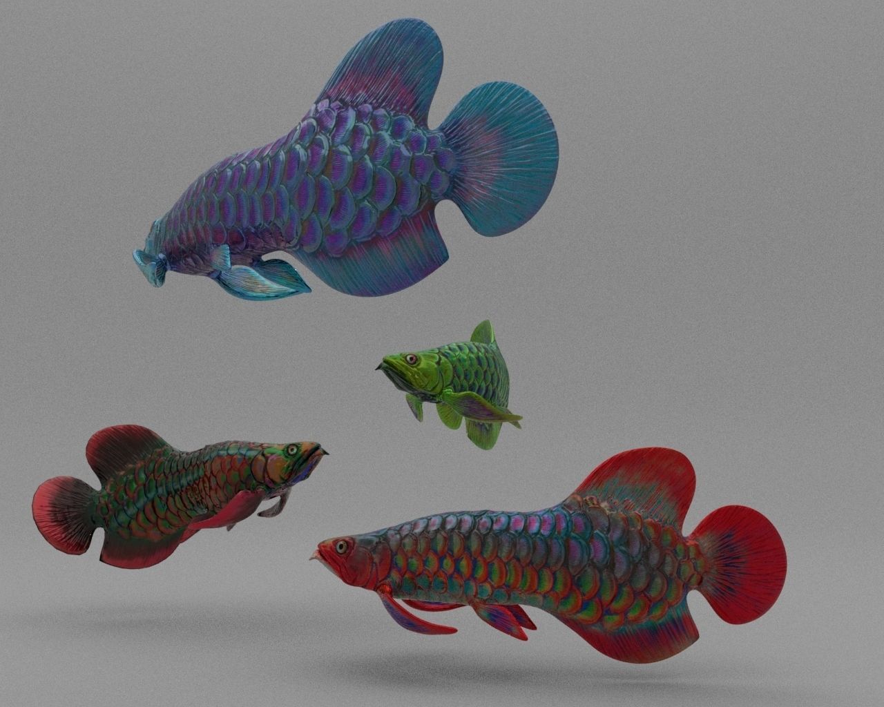 Dragon  Fish 3D model_8