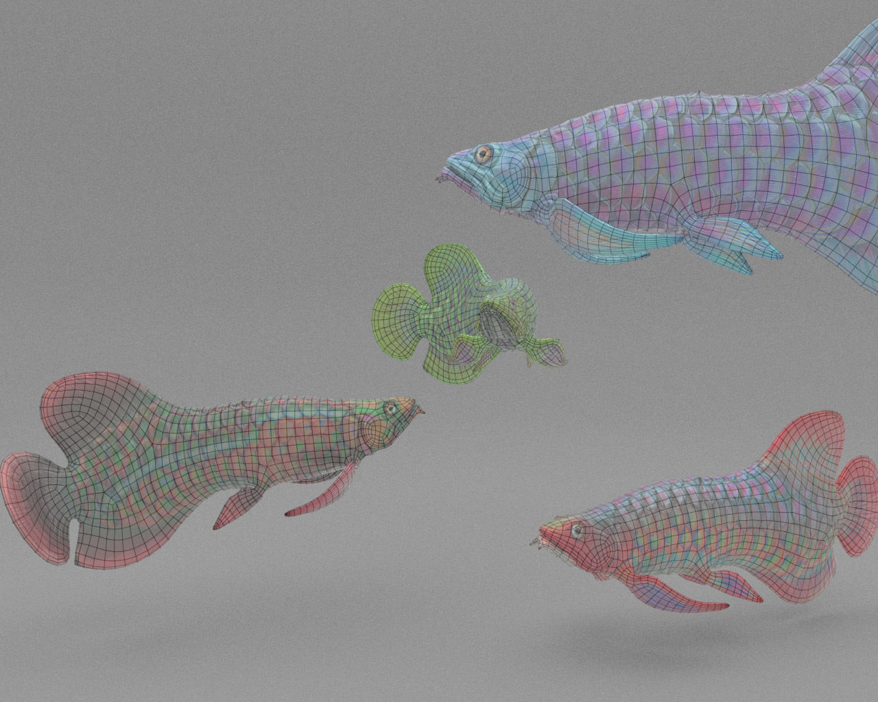 Dragon  Fish 3D model_28