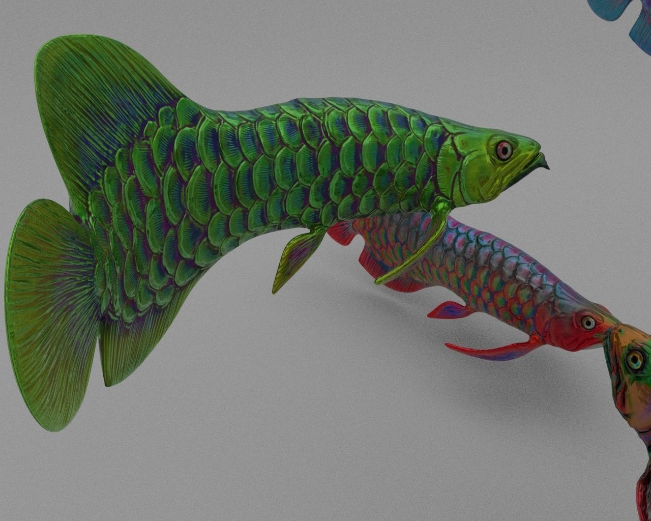 Dragon  Fish 3D model_20