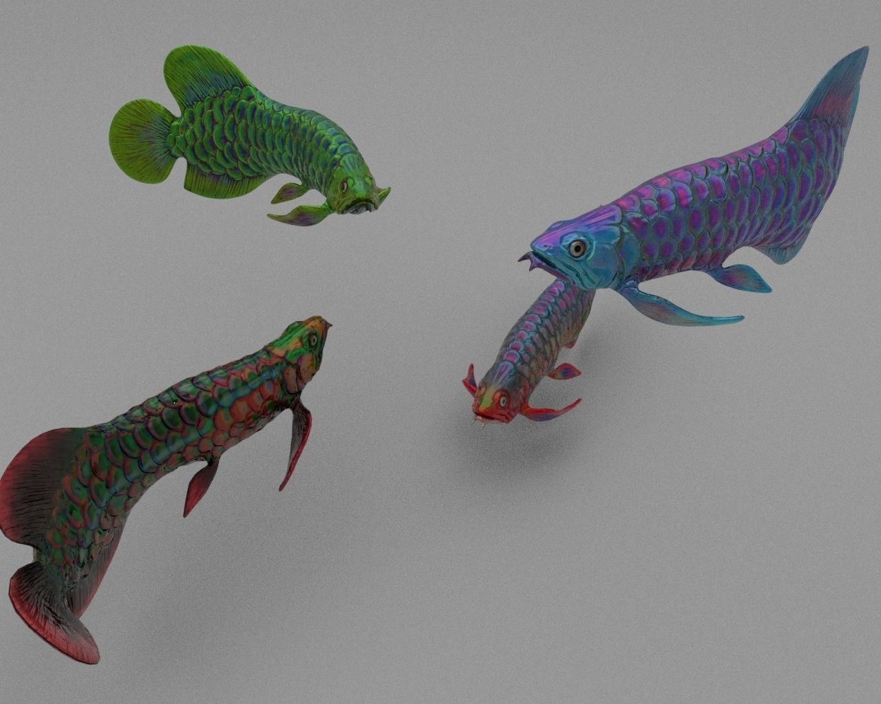 Dragon  Fish 3D model_5