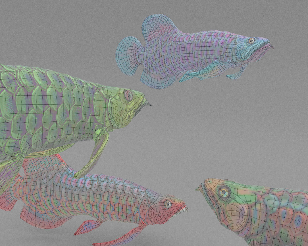 Dragon  Fish 3D model_30
