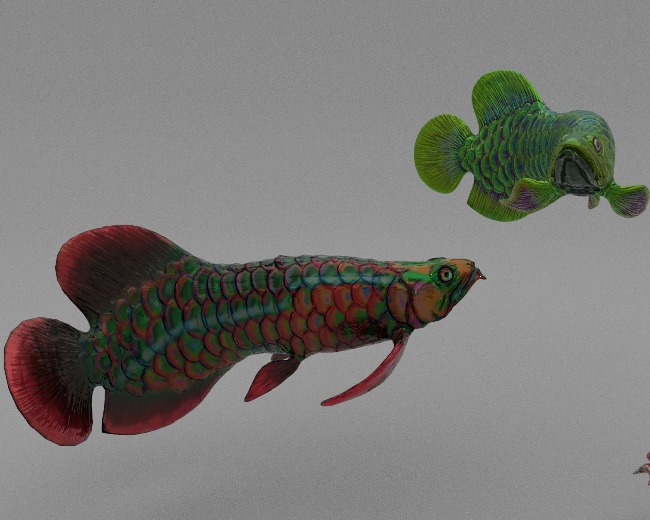 Dragon  Fish 3D model_15