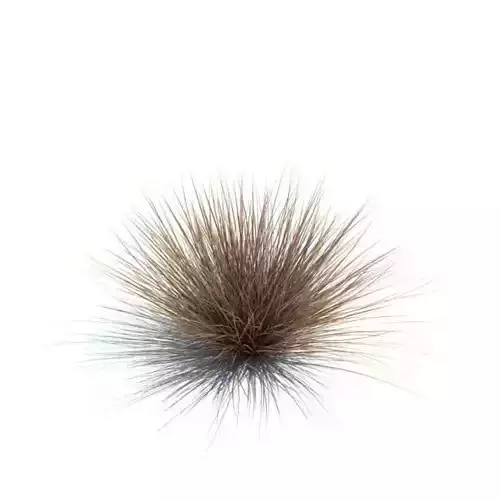 Spiky Grass Bush
