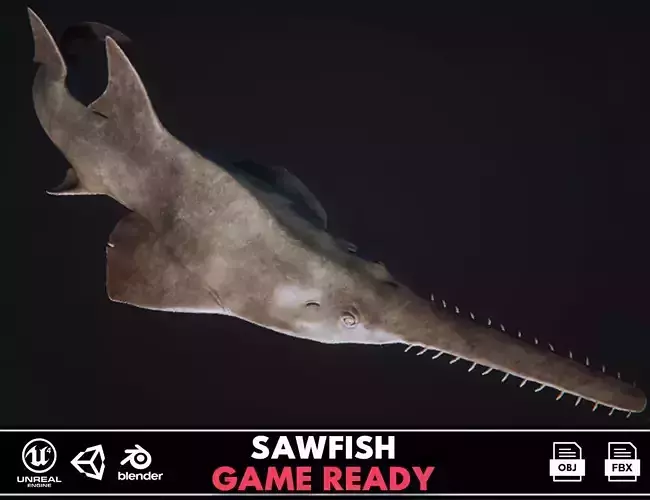 Sawfish shark with long tail Low-poly 3D model