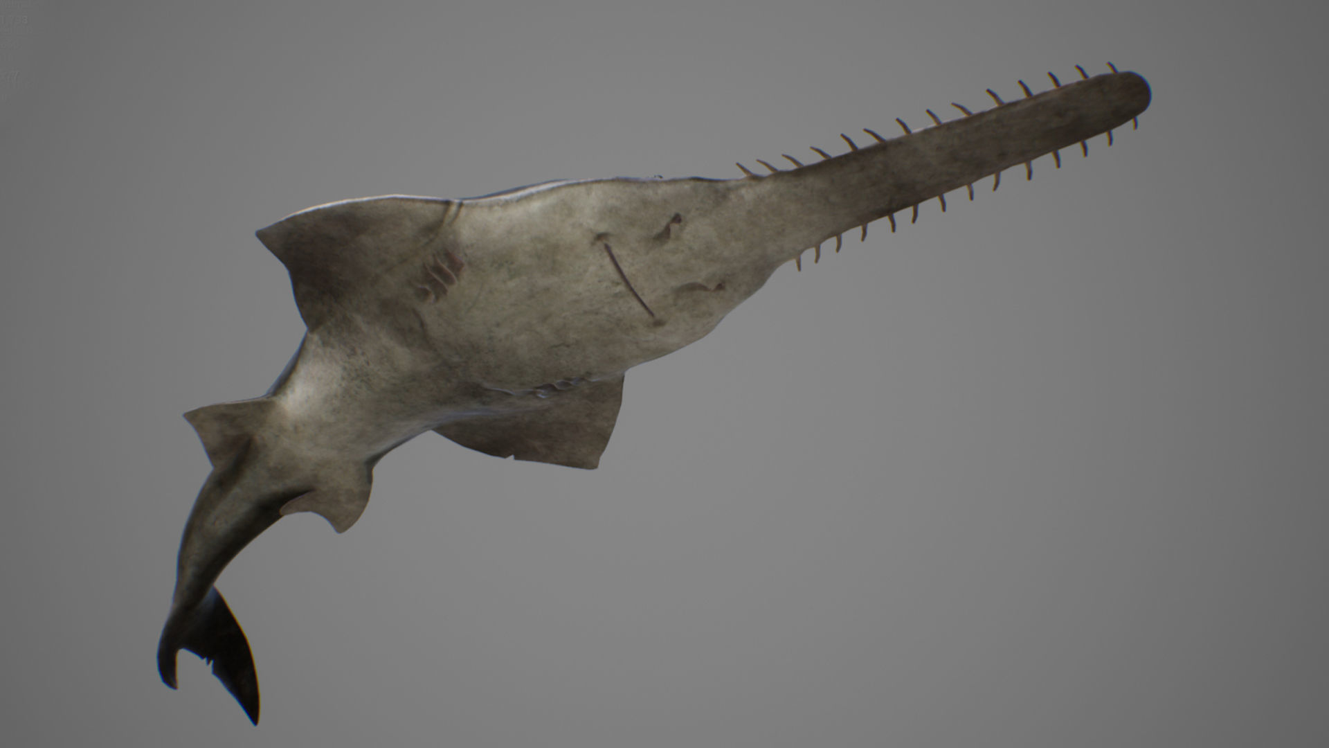 Sawfish shark with long tail Low-poly 3D model_5