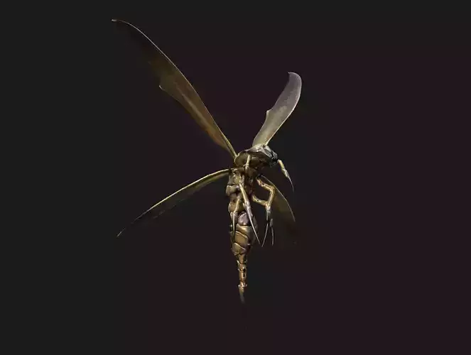 Angry Wasp Low-poly 3D model