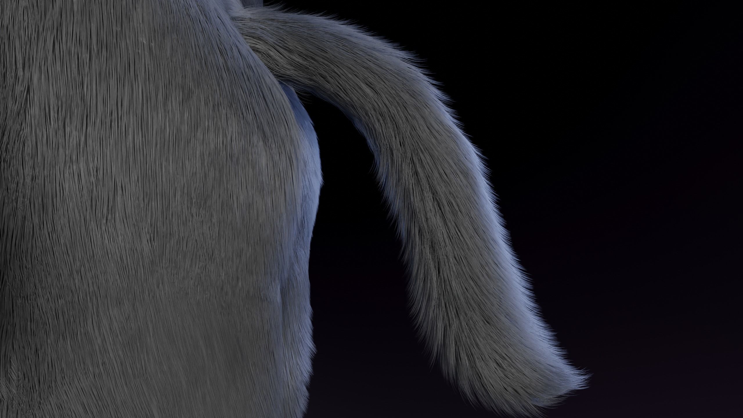 Jonny Anthro Wolf 3D model_12